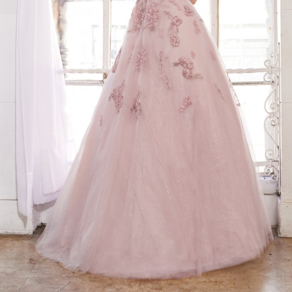 V-Neck Lace A-Line Prom Dress ALA0892 - Picture 5 of 5